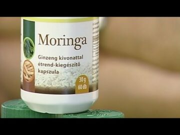 [ID: 0Cqo6gVSrv8] Youtube Automatic