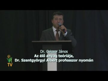 [ID: 2uoBxwdmE_c] Youtube Automatic