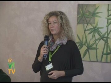 [ID: 2Z6wUXLzfOM] Youtube Automatic