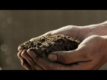 [ID: 4LRA9e3bK9c] Youtube Automatic