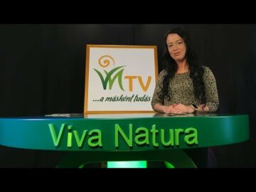 [ID: 82P0P7LnBHI] Youtube Automatic