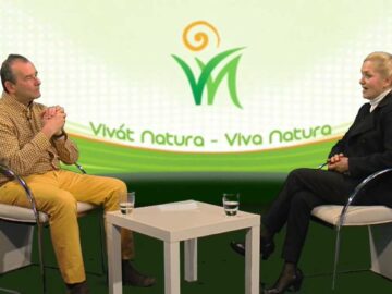 [ID: 9OhmDqREOqk] Youtube Automatic