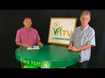 [ID: 9wXJWVl2Mlw] Youtube Automatic