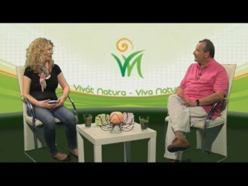 [ID: B6pjo5IfPbk] Youtube Automatic