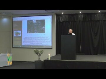 [ID: BcpUfeytUbs] Youtube Automatic