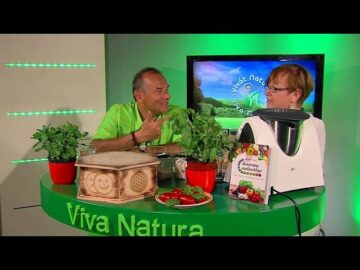 [ID: C8_RujeyPcs] Youtube Automatic