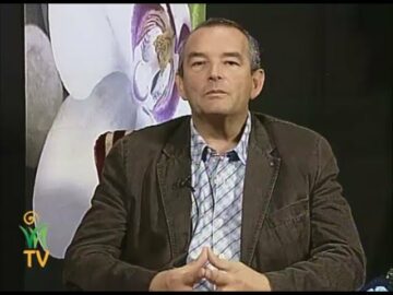 [ID: C9M9MlGA_Uc] Youtube Automatic