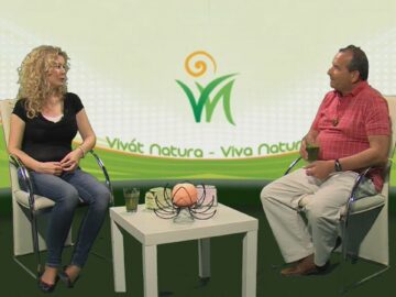 [ID: coBsDUE4EIY] Youtube Automatic