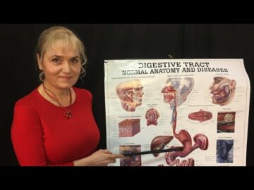 [ID: DjrUL6vyDIM] Youtube Automatic