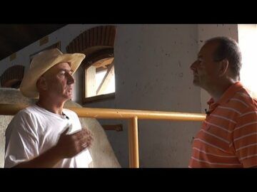 [ID: elRUQJ6DYkc] Youtube Automatic