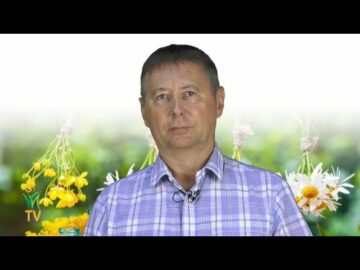 [ID: fy_j6rj8B48] Youtube Automatic