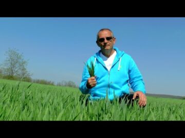 [ID: -FYVEKb31yk] Youtube Automatic