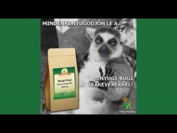 [ID: GhwGnLEK_Pg] Youtube Automatic