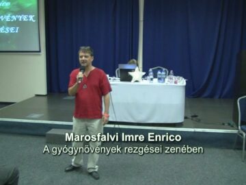 [ID: gtRi1vTud3g] Youtube Automatic