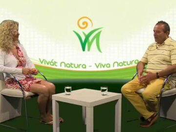 [ID: GVl87bQjQg8] Youtube Automatic