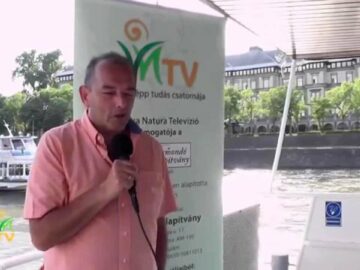 [ID: i4fOKU0sjAw] Youtube Automatic