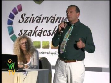 [ID: iQAS69aksQY] Youtube Automatic