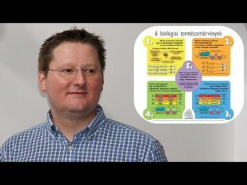 [ID: ITPaN04ZG10] Youtube Automatic