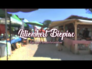 [ID: KhgrB8qTFII] Youtube Automatic