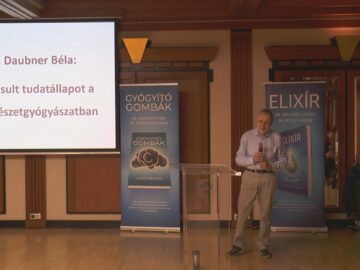 [ID: KHgS1ltoytE] Youtube Automatic