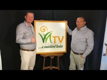 [ID: K_ogoEP6UVs] Youtube Automatic