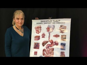 [ID: LoF9aXa9j_0] Youtube Automatic