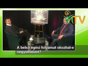 [ID: mFFvzEFZsNI] Youtube Automatic