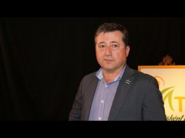 [ID: mhkcutl6wv4] Youtube Automatic