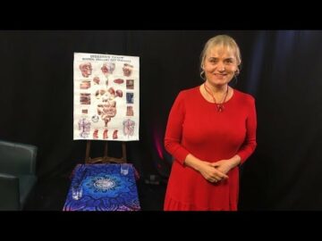 [ID: NcIhLe6iDg0] Youtube Automatic