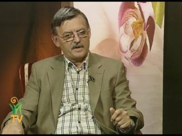 [ID: NDgbTQQwjSY] Youtube Automatic