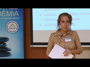 [ID: n_jcoGiyy5I] Youtube Automatic