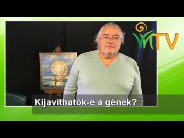 [ID: nK6eEZ6tqHM] Youtube Automatic