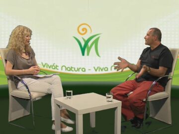 [ID: PCHrVdOg7JQ] Youtube Automatic