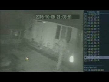 [ID: pSfy1O0DdUs] Youtube Automatic