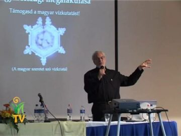 [ID: py5vwxAWWu0] Youtube Automatic