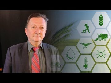 [ID: q-GsmziBrdw] Youtube Automatic