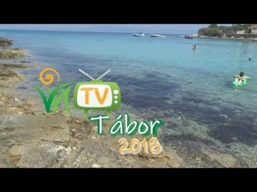 [ID: QbvKa8Lf1Xc] Youtube Automatic