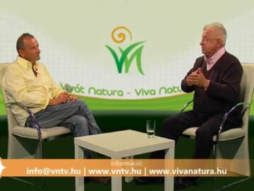 [ID: QIYLzao3PBM] Youtube Automatic