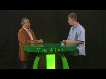 [ID: Qj5lYDVOxYw] Youtube Automatic