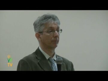 [ID: Rpk3_2YIf4k] Youtube Automatic