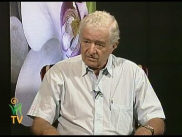 [ID: rw2pq79IaPU] Youtube Automatic