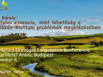 [ID: s94KNjcD7_E] Youtube Automatic