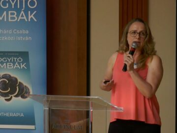 [ID: sV-FawCuvUc] Youtube Automatic