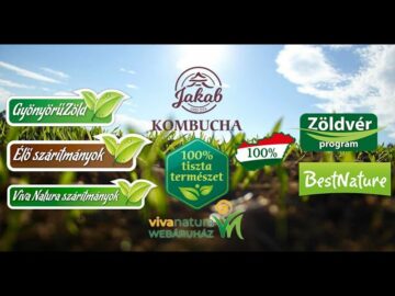 [ID: T8MP1DNXllg] Youtube Automatic