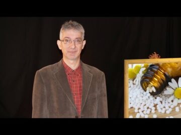 [ID: tBIz1Qg6L2o] Youtube Automatic