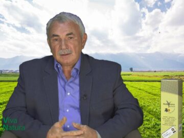 [ID: TPbJ8JmTGco] Youtube Automatic