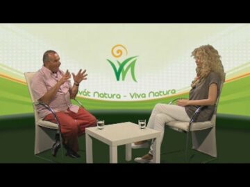 [ID: UMzRvV9xQ_E] Youtube Automatic