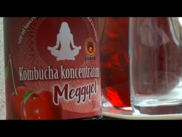 [ID: W3J9JMg0iU4] Youtube Automatic