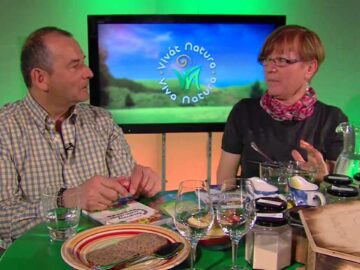 [ID: wA7S1Qq8Cmc] Youtube Automatic