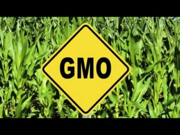 [ID: xy1XIONtmOA] Youtube Automatic